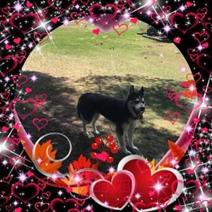 Meet your Posher, Jessie